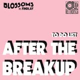 To Do List (After the Breakup)