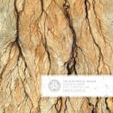 Doorway in the Desert