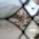 bellefontaine cemetery