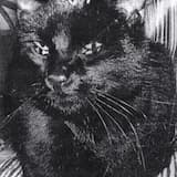 Remote Beach at Avernus