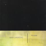 Farewell (Guitar solo)