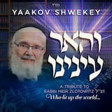 והאר עינינו