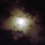 Rune X - When night falls over Waldheim