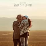 Never Say Goodbye