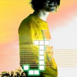 Miley Cyrus Is A Lesbian