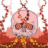 Cadaver Recovery Man