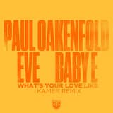 What's Your Love Like (Kamer remix)
