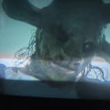 Love in the Time of Covid