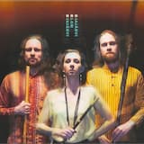 Joutsenen saunatervehdys