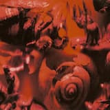 The Fall (single version)