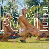 Hokie Pokie