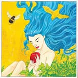 A Bird a Bee Humanity