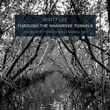 Through the Mangrove Tunnels: IV. Flying Fish