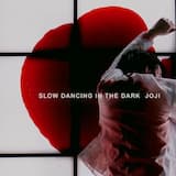 SLOW DANCING IN THE DARK