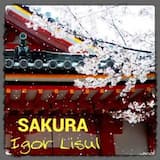Sakura - Igor Lisul