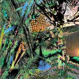 In a means to die, my heart has forsaken it completely.