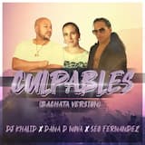 Culpables (Bachata Version)