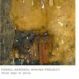 Remember the Acacias