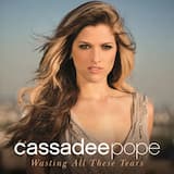 Wasting All These Tears