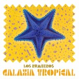 Buena pa’ la rumba