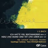 BWV 21, Coro: Was betrübst du dich, meine Seele