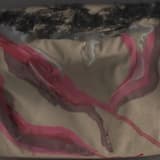 The Duck National Anthem