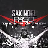 Paso (The Nini Anthem) (Radio Edit)