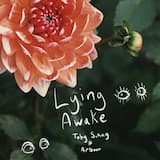 Lying Awake