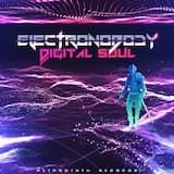 Digital Soul