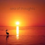 sea of thoughts