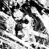 Repeat V1 Digital Exclusive