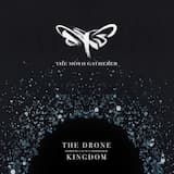 The Drone Kingdom