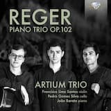 Piano Trio, op. 102: I. Allegro moderato, ma con passione