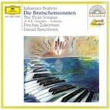 Sonata no. 1 in F minor, op. 120 no. 1: I. Allegro appassionato - Sostenuto ed espressivo