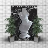 ｍｉｓａｎｔｈｒｏｐｅ