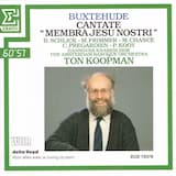 Ad pedes "Ecce super montes"