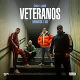 Veteranos