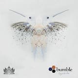 Looking Glass (Bumble Remix)
