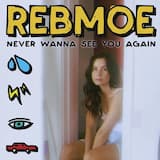 Never Wanna See You Again