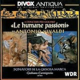 Violin Concerto in E minor, RV277 ''Il favorito'': I. Allegro