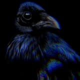 PsychoTikTok (Lose U)