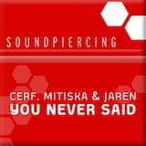 You Never Said (Dash Berlin Remix)