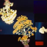 Wake Me When It’s Over