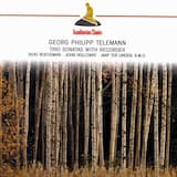 Trio Sonata for recorder, viola da gamba & continuo in D minor, TWV42:d7: Movement 2