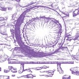 Holographic Riddance