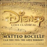 Can You Feel the Love Tonight (From "The Lion King")