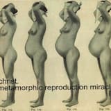 School is Not Compulsory