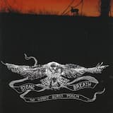 The Night Birds Psalm