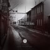 Industrialized Ruins (Der Reinhalter remix)