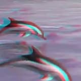 深海の下で Oceanscape 視覚の